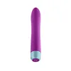 Mini-Vibrator FemmeFunn Densa Bullet