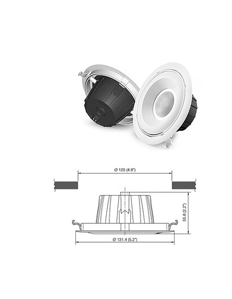 4S LED SPOT Downlight