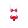 Lace Underwear Set Obsessive Heartina Red S/M