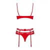 Lace Underwear Set Obsessive Heartina Red S/M