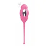 Egg Vibrator Virgite