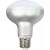 LED Spuldze Silver Electronics R90 E27 Balts Pelēks A++ 12 W (5000 K)