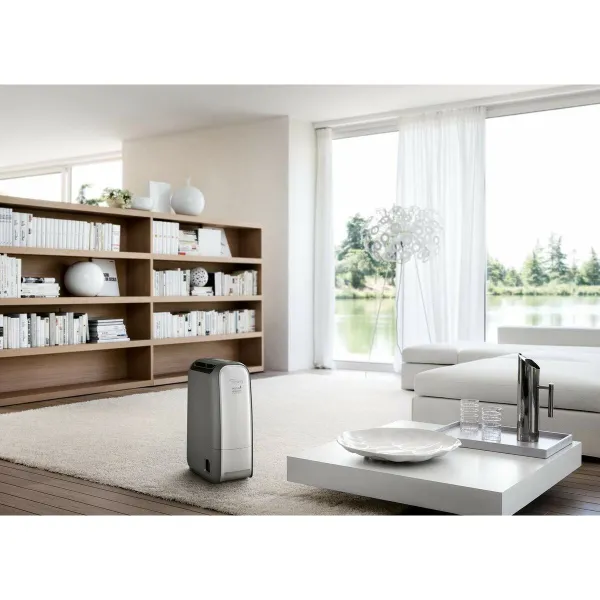 Ontvochtiger DeLonghi DNS 80