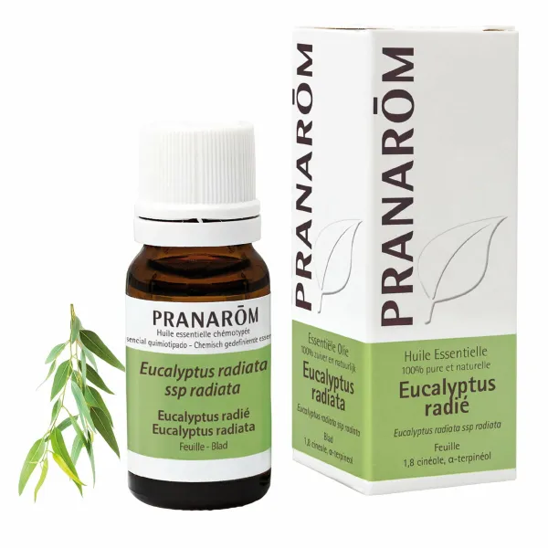 Eteerinen öljy Pranarôm   10 ml Eukalyptus