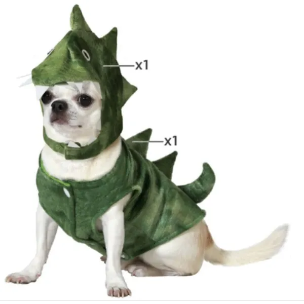 Koiran vaate Koko S Dinosaurus