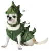 Koiran vaate Koko S Dinosaurus