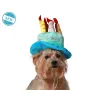 Dog Costume Blue Hat Birthday