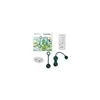 Weighted Kegel Training Kit Magic Motion Duo Green