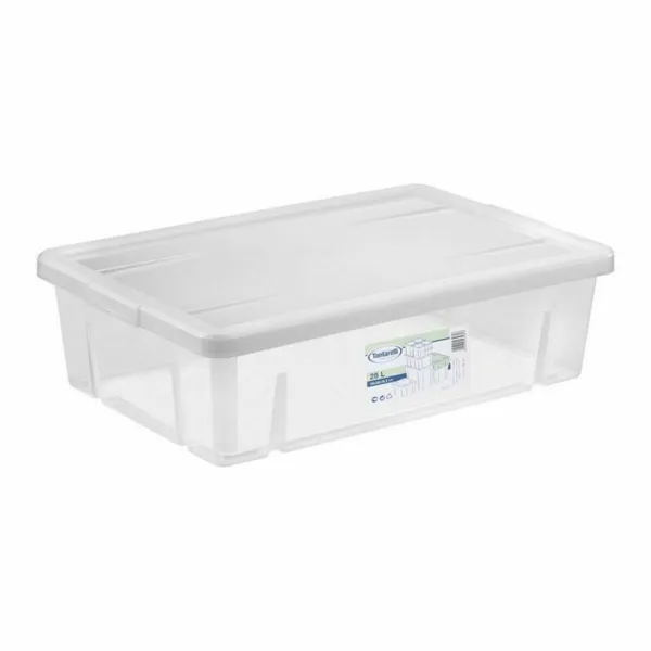 Uzglabāšanas Kaste ar Vāku Tontarelli 84895 28 L 59 x 39 x 16,5 cm (6 gb.)