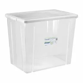 Sandėliavimo dėžutė su dangteliu Tontarelli Linea box 59 x 39 x 48 cm (6 vnt.)