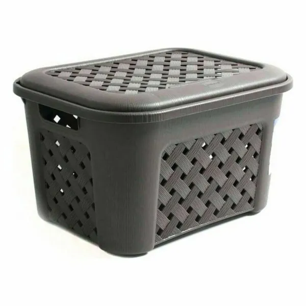 Veļas Grozs Arianna Tontarelli 2112312 (43,5 x 33,5 x 26 cm) 23,6 L (6 gb.)