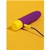 Vibrator Romp RPBBSG4 Purple