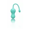 Pelvic Floor Exerciser Romp