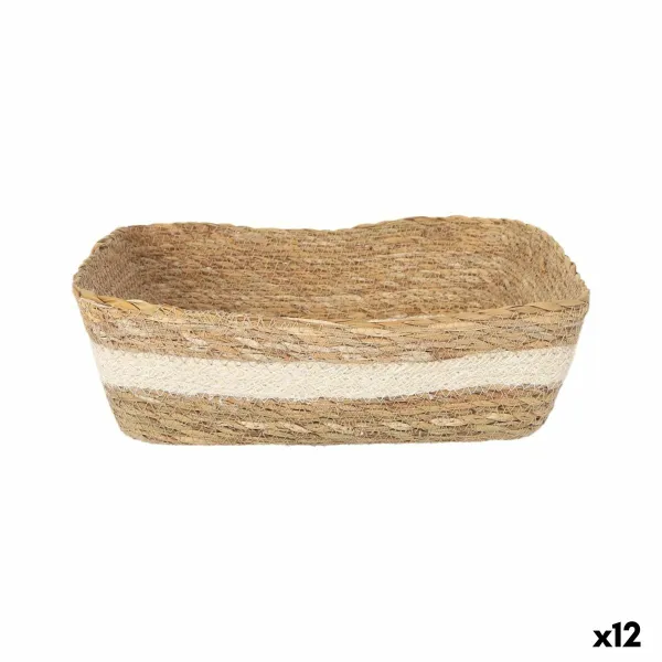 Uzglabāšanas Kaste Privilege Privilege pīts Taisnstūra 25 x 20 x 8 cm (12 gb.)