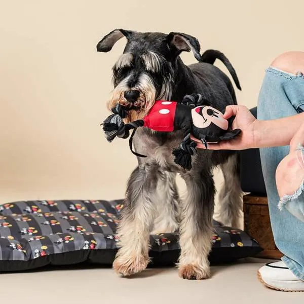 Dog toy Mickey Mouse Black 15,0 x 6,0 x 28,0 cm Plastic