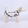 Dog T-shirt Disney Pride White