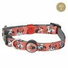 Koera kaelarihm Minnie Mouse XS/S
