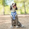 Dog Harness Real Madrid C.F. Blue