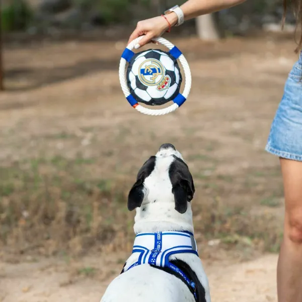 Frisbee Real Madrid C.F. White 22,0 x 22,0 x 6,0 cm