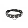 Bondage Collar with Chain XR