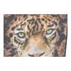 Полотно DKD Home Decor полистирол Полотно 52 x 2,7 x 72 cm