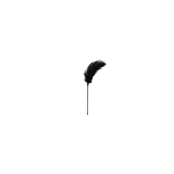 Feather Tickler EasyToys Black