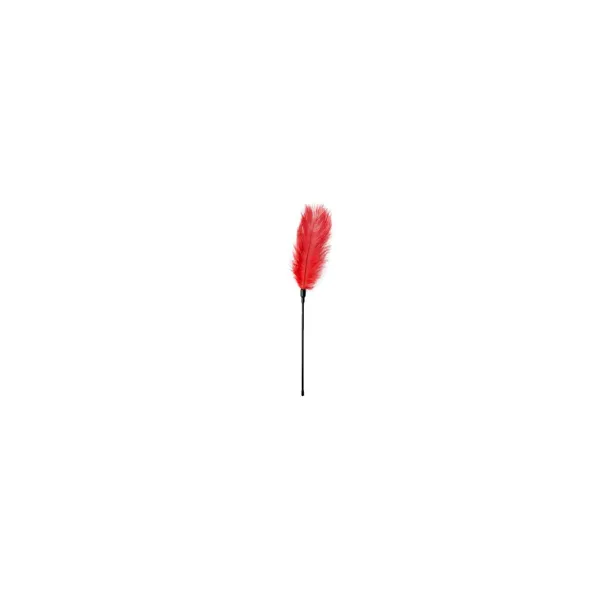 Feather Tickler EasyToys Red