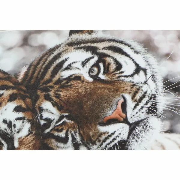 Canvas DKD Home Decor Canvas MDF Wood 80 x 1,8 x 40 cm