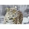 Canvas DKD Home Decor Canvas MDF Wood 50 x 1,8 x 70 cm