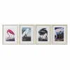 Картина DKD Home Decor Птица Восточный (35 x 2 x 45 cm) (4 штук)