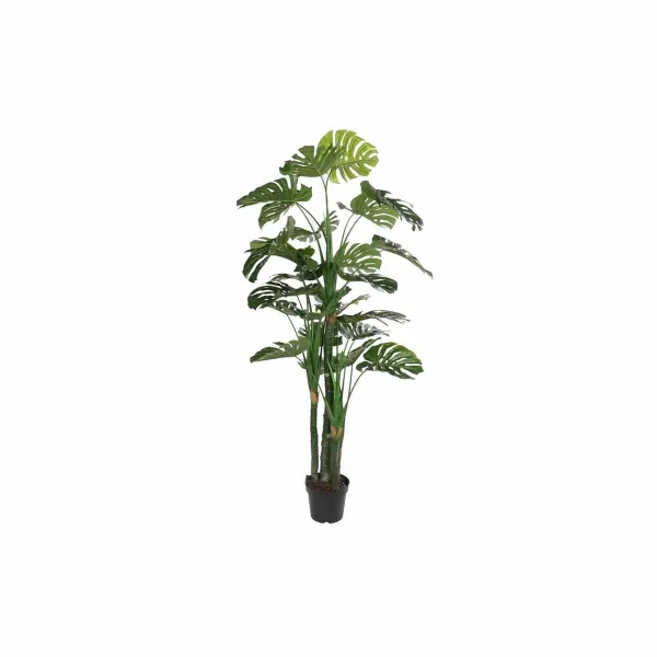 Dekoratyvinis augalas DKD Home Decor Polipropilenas (PP) EVA (90 x 90 x 200 cm)