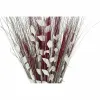 Kimppu DKD Home Decor Gėlės Kookoskuitu (2 pcs) (35 x 20 x 100 cm)