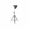Lubinis šviestuvas DKD Home Decor Metalinis Sidabras 60 W (74 x 61 x 182 cm)