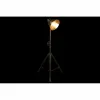 Напольный светильник DKD Home Decor Металл Серебряный 60 W (74 x 61 x 182 cm)