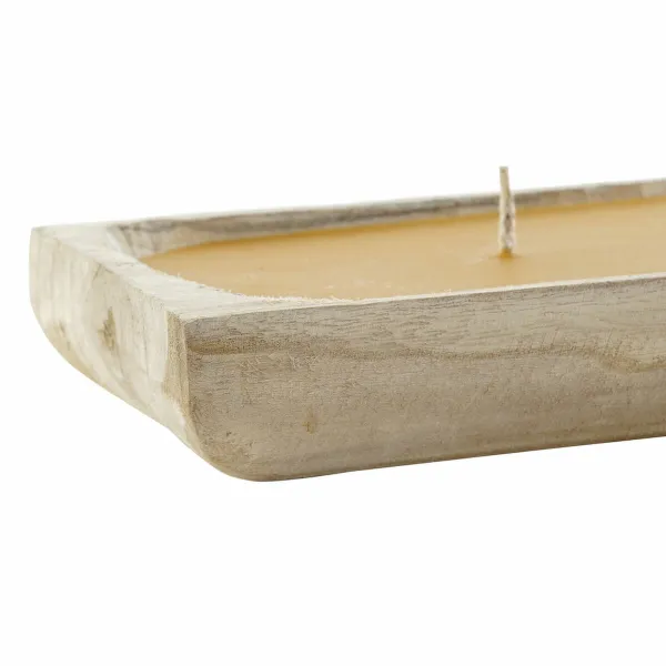 Žvakė DKD Home Decor Natūralus Džiunglės Alpino (3 vnt.)