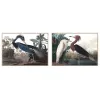 Canvas DKD Home Decor polistirols Canvas 123 x 4,5 x 83 cm