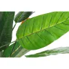 Koristekasvi DKD Home Decor PVC Muovinen 100 x 100 x 145 cm