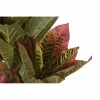 Koristekasvi DKD Home Decor Ruskea Polyetyleeni Vihreä 50 x 50 x 140 cm