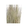 Dekoratīvs Augs DKD Home Decor 25 x 25 x 68 cm Brūns Polietilēns Zaļš (2 gb.)