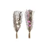 Kimppu DKD Home Decor Pinkki Ruskea Valkoinen Kuivakukka (2 osaa) (30 x 30 x 65 cm)