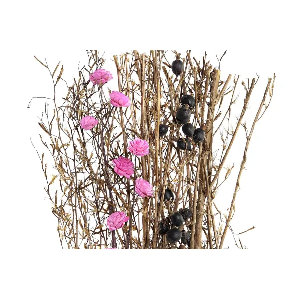 Kimppu DKD Home Decor Pinkki Ruskea Valkoinen Kuivakukka (2 osaa) (30 x 30 x 65 cm)