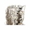 Bunch DKD Home Decor Pink Brown White Dried flower (2 Units) (30 x 30 x 65 cm)