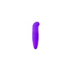 G-Spot Vibrator Toyz4lovers Purple