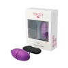 Bullet Vibrator Virgite Purple