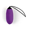 Egg Vibrator Virgite Purple