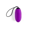 Bullet Vibrator Virgite Purple