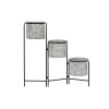 Kasvit DKD Home Decor Harmaa Metalli (82 x 25 x 81 cm)