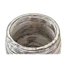 Kasvit DKD Home Decor Ruskea Valkoinen (2 osaa) (22 x 22 x 16 cm)