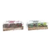 Žvakių rinkinys DKD Home Decor Kalėdos (5,5 x 5,5 x 6 cm) (2 vnt.)