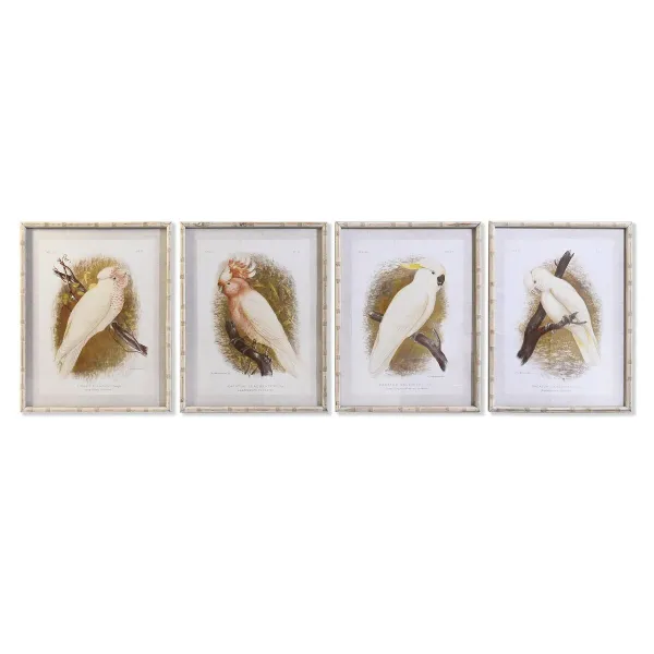 Canvas DKD Home Decor 50 x 2,8 x 65 cm 50 x 65 x 2.8 cm Papagailis Cottage (4 Daudzums)